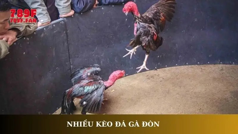 Nhiều kèo đá gà đòn